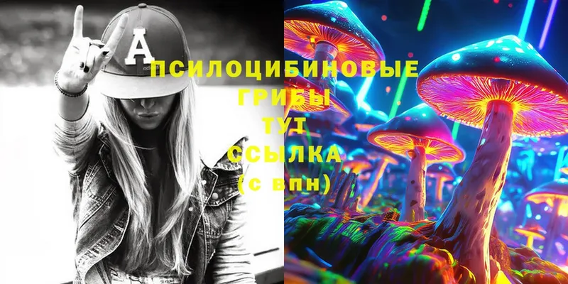 Псилоцибиновые грибы Psilocybine cubensis  Тулун 